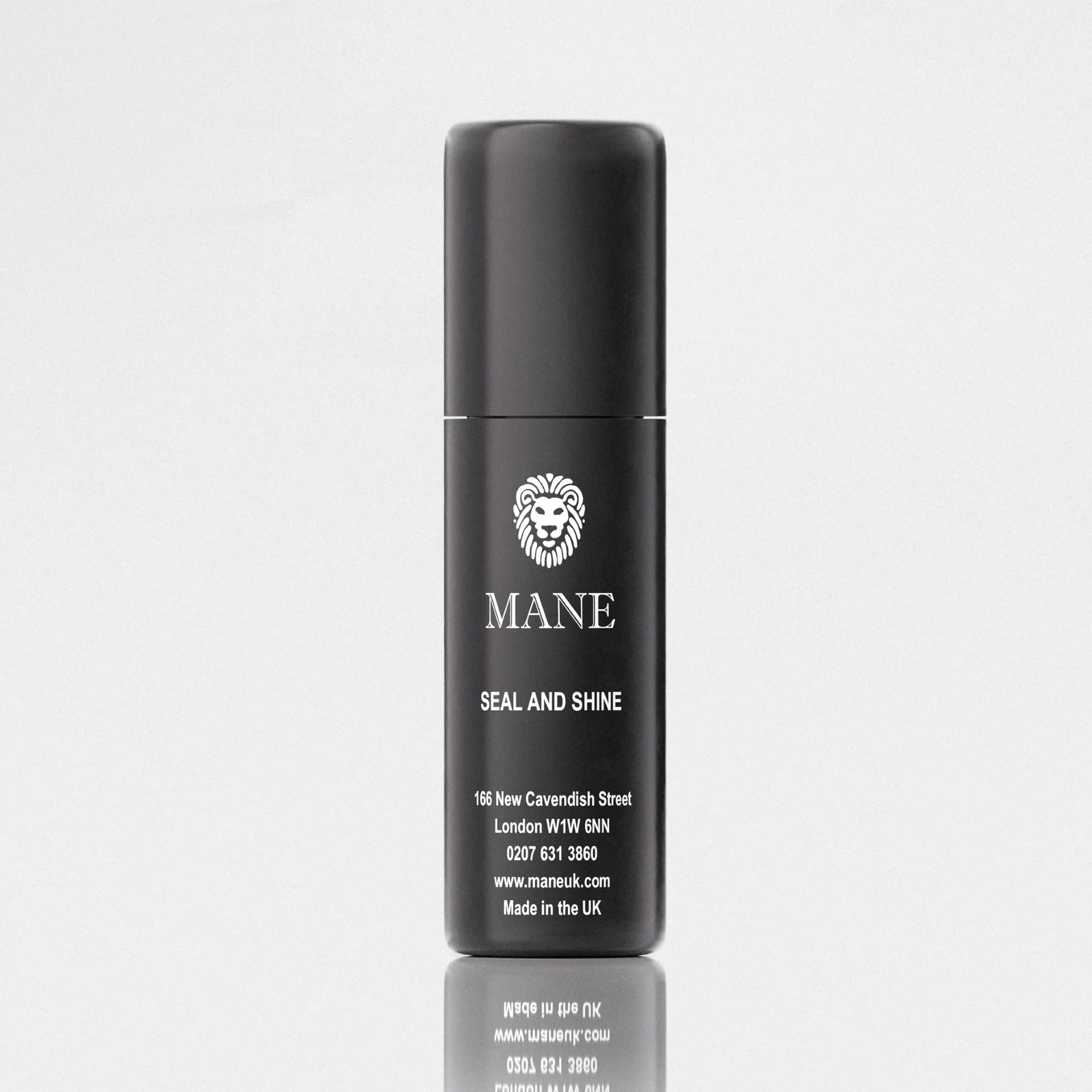 Mane Seal and Shine Hair Spray 100 ml